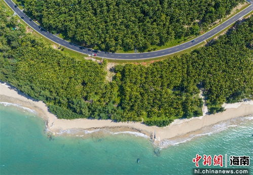 航拍海南环岛旅游公路项目文昌东郊椰林段